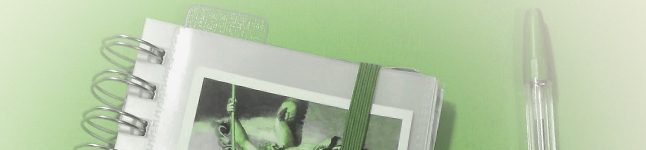 KATECHEZA DLA DOROSŁYCH